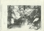 Ewidencja parkowa, skan nr 55