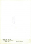 Ewidencja parkowa, skan nr 30