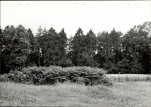 Ewidencja parkowa, skan nr 37