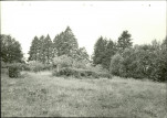 Ewidencja parkowa, skan nr 39