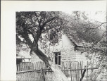 KB - Karta biała, skan nr 8
