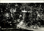 Ewidencja parkowa, skan nr 25