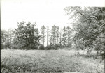 Ewidencja parkowa, skan nr 22