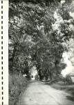 Ewidencja parkowa, skan nr 23