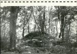 Ewidencja parkowa, skan nr 37