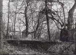 Ewidencja parkowa, skan nr 40