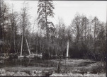 Ewidencja parkowa, skan nr 56
