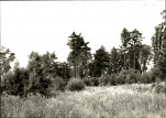 Ewidencja parkowa, skan nr 26