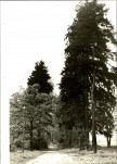 Ewidencja parkowa, skan nr 22
