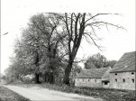 Ewidencja parkowa, skan nr 21