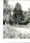 EP - Ewidencja parkowa, skan nr 31