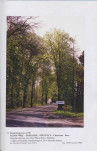 Ewidencja parkowa, skan nr 38