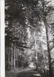 EP - Ewidencja parkowa, skan nr 41