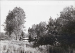 EP - Ewidencja parkowa, skan nr 22