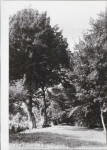 EP - Ewidencja parkowa, skan nr 60