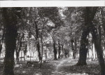 EP - Ewidencja parkowa, skan nr 70