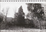 Ewidencja parkowa, skan nr 49