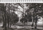 Ewidencja parkowa, skan nr 51