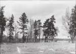 EP - Ewidencja parkowa, skan nr 23