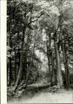 Ewidencja parkowa, skan nr 29