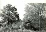 Ewidencja parkowa, skan nr 28