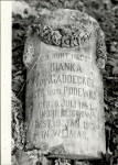 Ewidencja parkowa, skan nr 34
