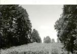 EP - Ewidencja parkowa, skan nr 40