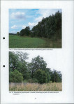 Ewidencja parkowa, skan nr 31