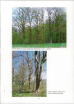 EP - Ewidencja parkowa, skan nr 46