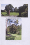 Ewidencja parkowa, skan nr 17
