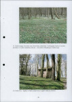Ewidencja parkowa, skan nr 26
