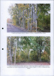 Ewidencja parkowa, skan nr 19