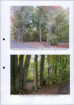 Ewidencja parkowa, skan nr 20