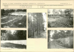 Karta biała, skan nr 11