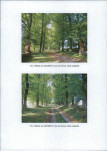 Ewidencja parkowa, skan nr 11