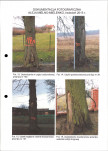 EP - Ewidencja parkowa, skan nr 14