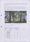 Ewidencja parkowa, skan nr 13