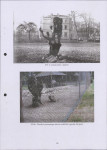 Ewidencja parkowa, skan nr 39