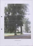 Ewidencja parkowa, skan nr 45