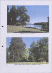 Ewidencja parkowa, skan nr 47