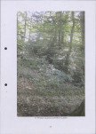 Ewidencja parkowa, skan nr 52
