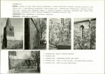 Karta biała, skan nr 8