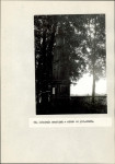 Ewidencja parkowa, skan nr 50