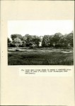 Ewidencja parkowa, skan nr 52
