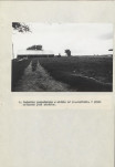 EP - Ewidencja parkowa, skan nr 34
