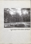 Ewidencja parkowa, skan nr 54