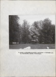 Ewidencja parkowa, skan nr 55