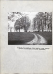Ewidencja parkowa, skan nr 56