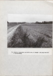 EP - Ewidencja parkowa, skan nr 39