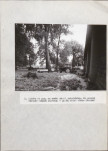 EP - Ewidencja parkowa, skan nr 44